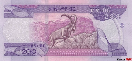 Die Rückseite der äthiopischen Birr-Banknote 2020