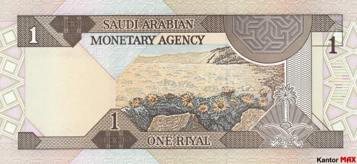 Die Rückseite der 1 Saudi-Riyal-Banknote der Serie 4