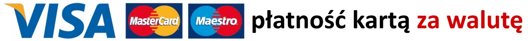 Płatność kartą za walutę